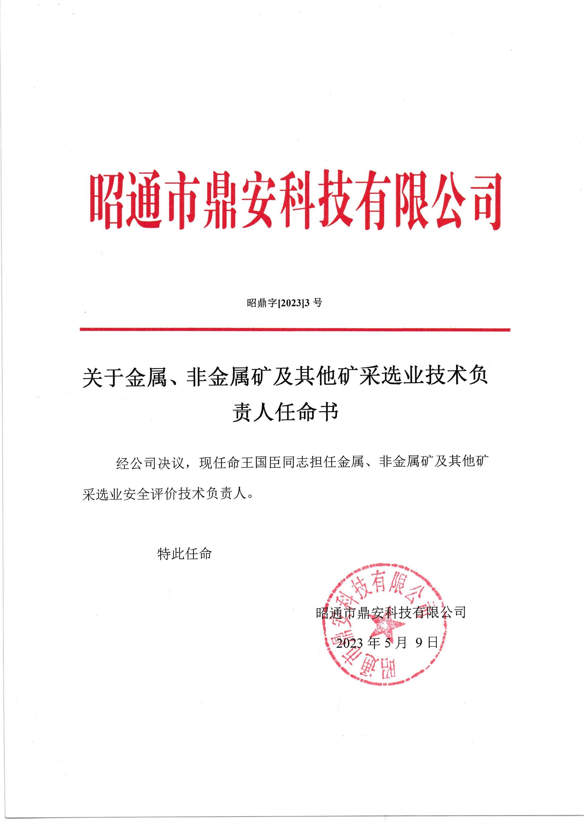 關于金屬、非金屬礦及其他礦采選業(yè)技術負責人任命書-王國臣_2.jpg